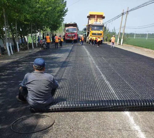 南昌鋼塑土工格柵橋梁涵洞鋼塑復(fù)合土工格柵價(jià)格便宜