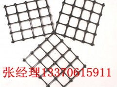 廣東鋼塑復(fù)合土工格柵廠家 中國泰安工程材料