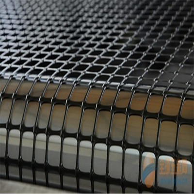 鋼塑土工格柵_(tái)鋼塑土工格柵 雙向土工格柵用 工程及土地養(yǎng)護(hù) 